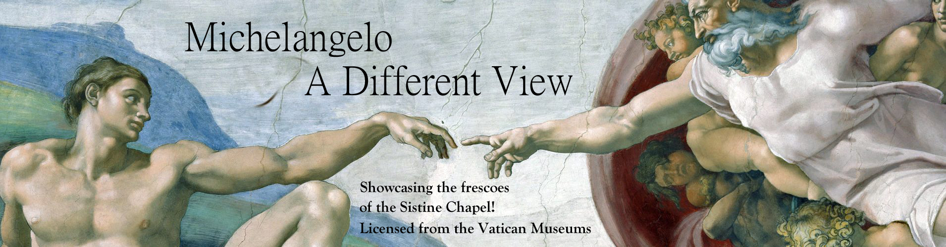 Michelangelo A Different View